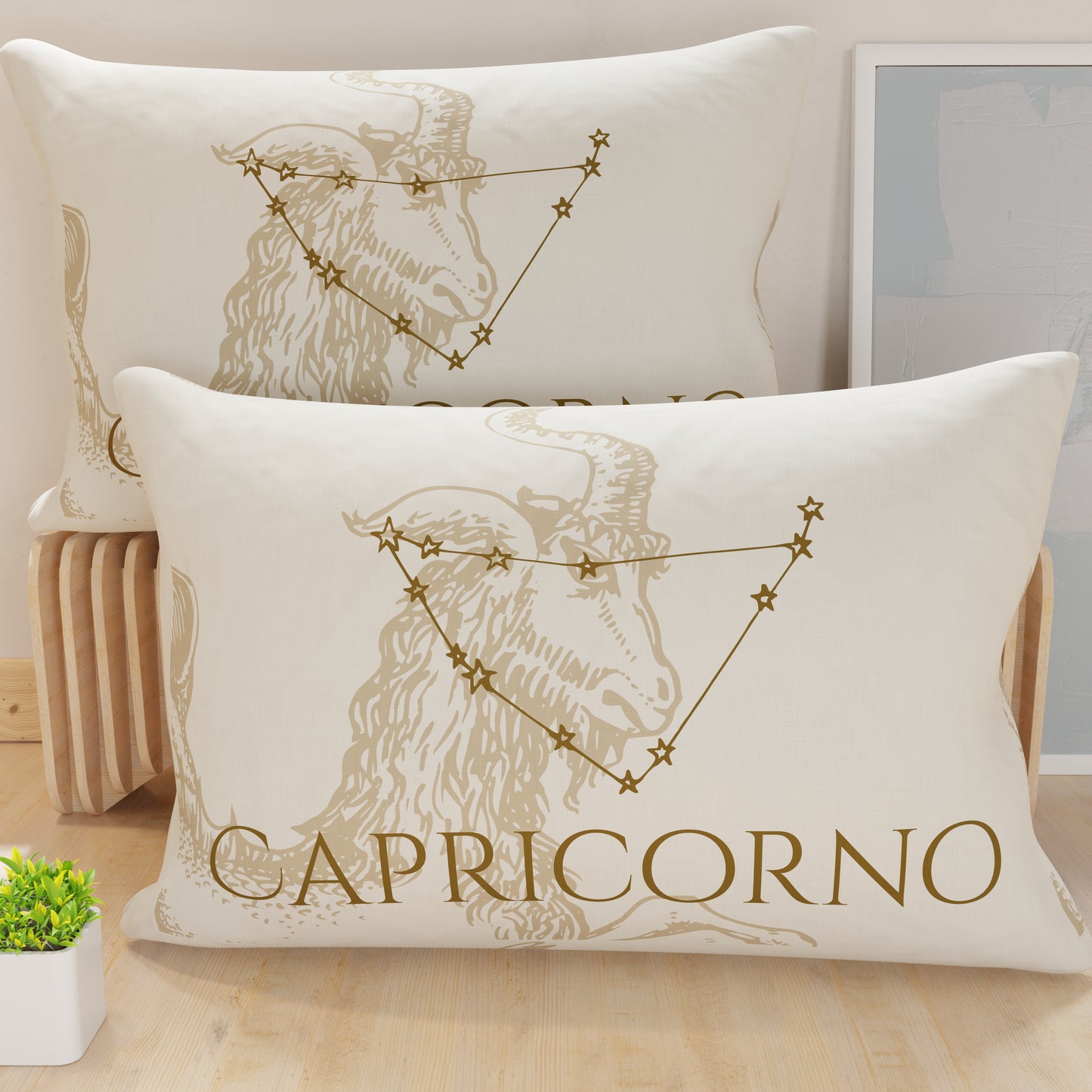 CFDM-Capricorno0001.jpg