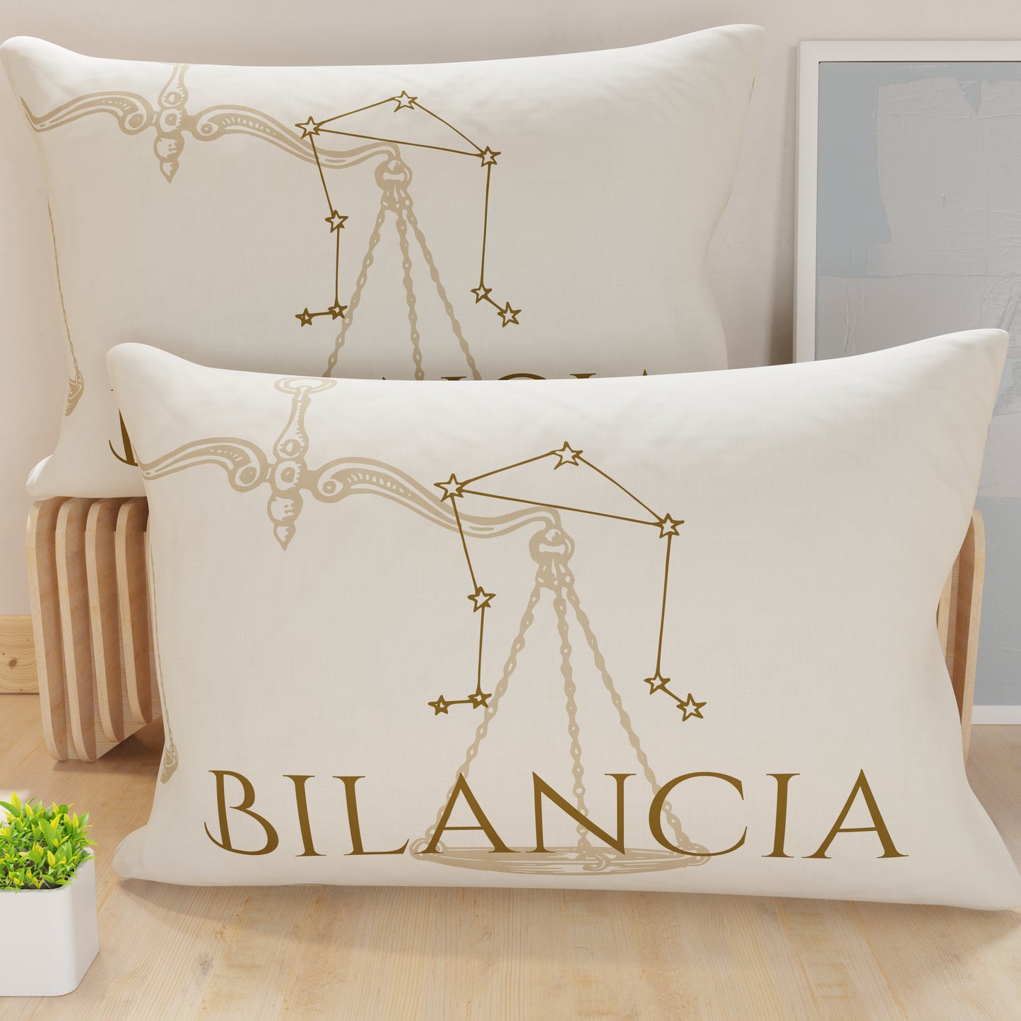 CFDM-bilancia0001.jpg