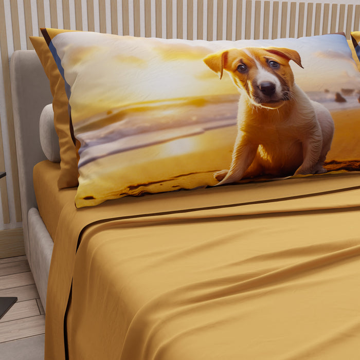 Federe Pets — Cani e Gatti, Dog and Cats