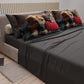 Draps Animaux en Coton, Parure de Lit avec Taies d'Oreiller en Impression Numérique Friends 09