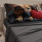 Draps Animaux en Coton, Parure de Lit avec Taies d'Oreiller en Impression Numérique Friends 09