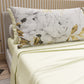 26FLO-010004.jpg
