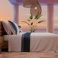 Draps doubles en pur coton percale avec double volant en satin - Bleu