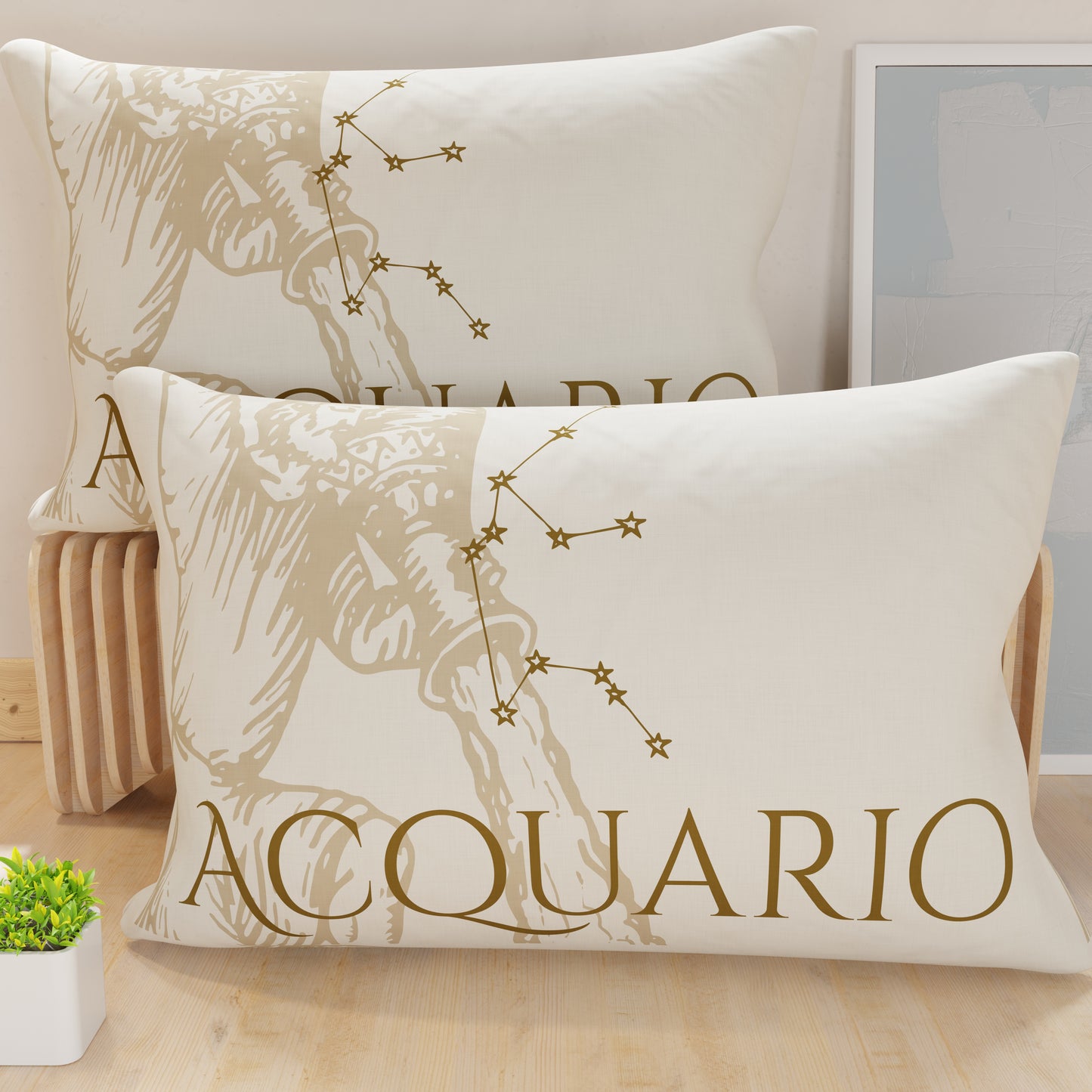 CFDM-ACQUARIO0001.jpg