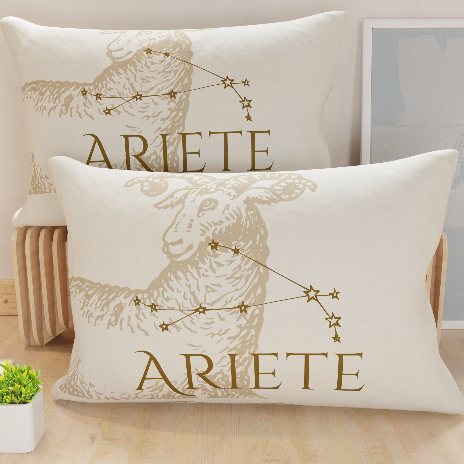 CFDM-ARIETE0001.jpg