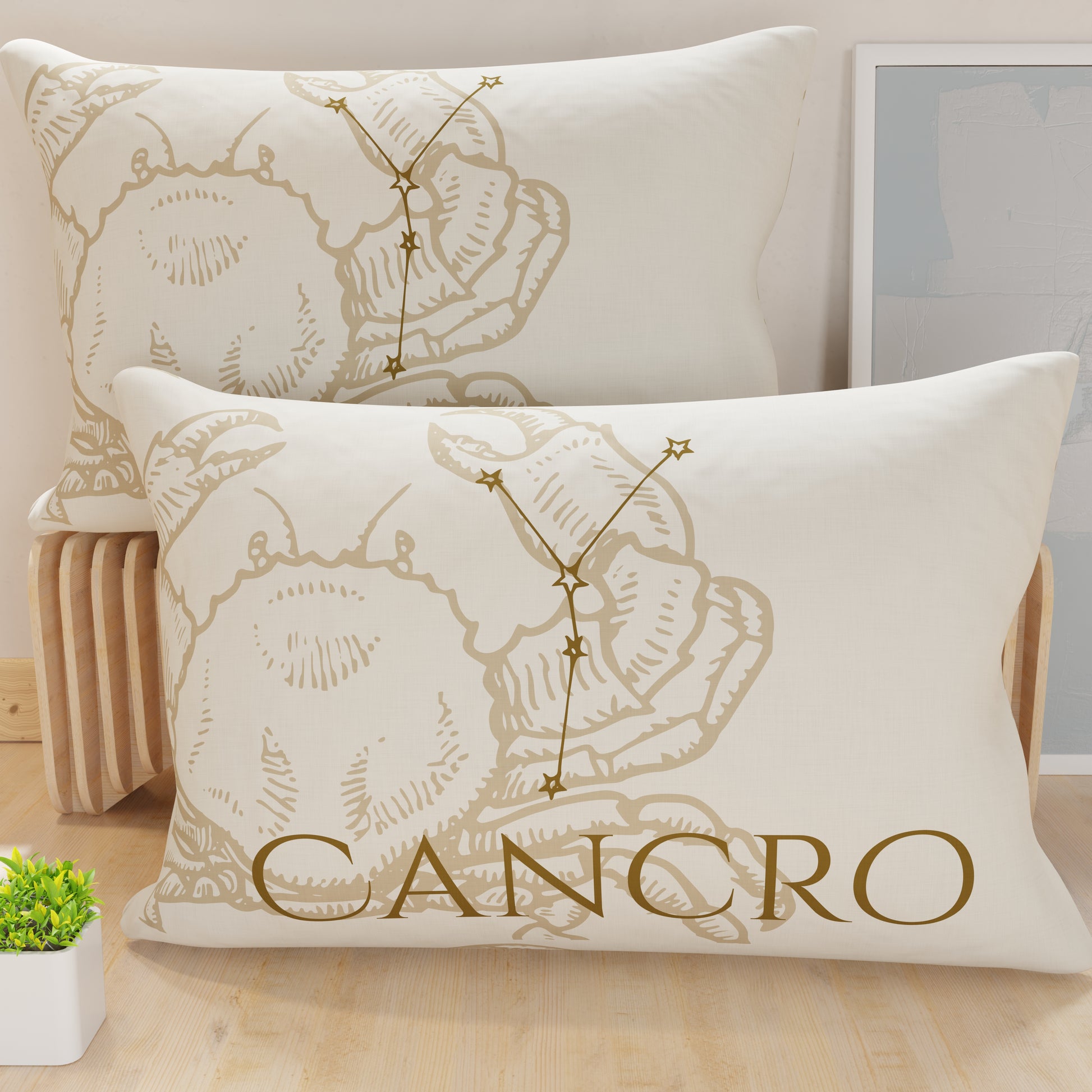 CFDM-CANCRO0001.jpg