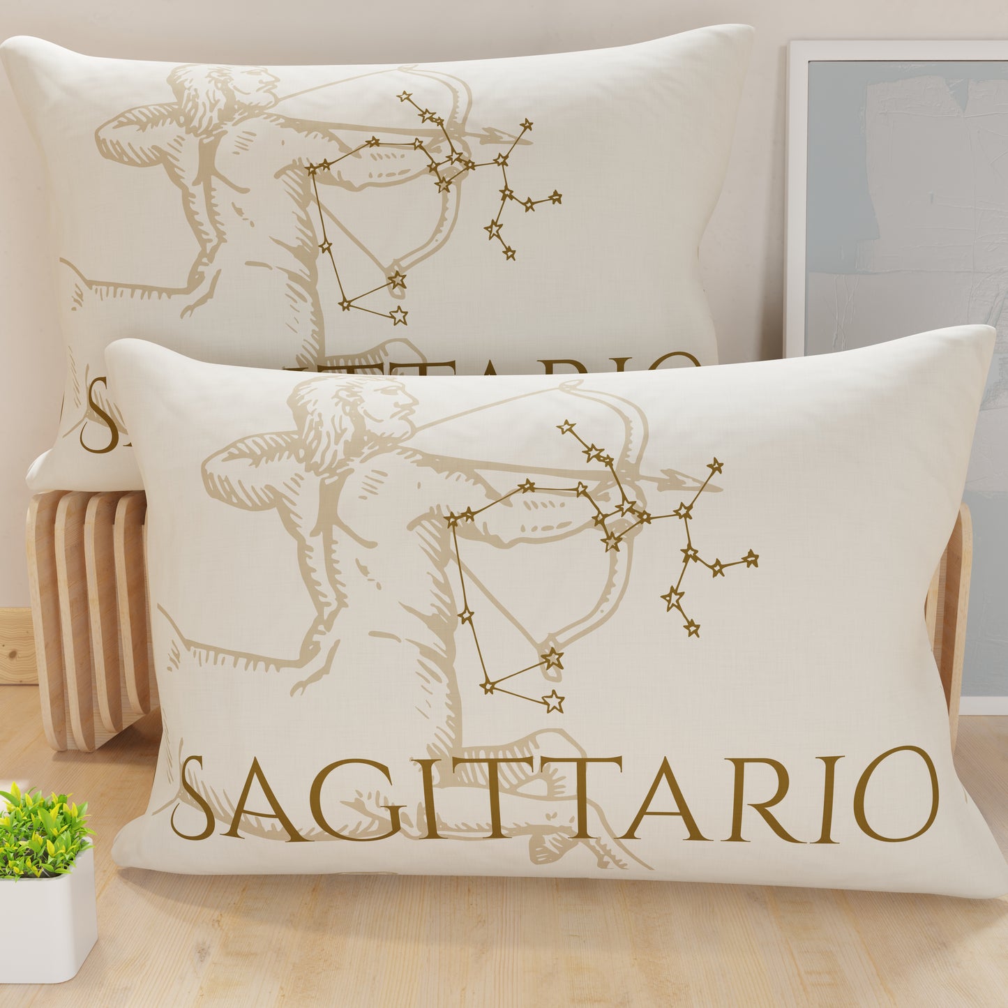 CFDM-Sagittario0001.jpg
