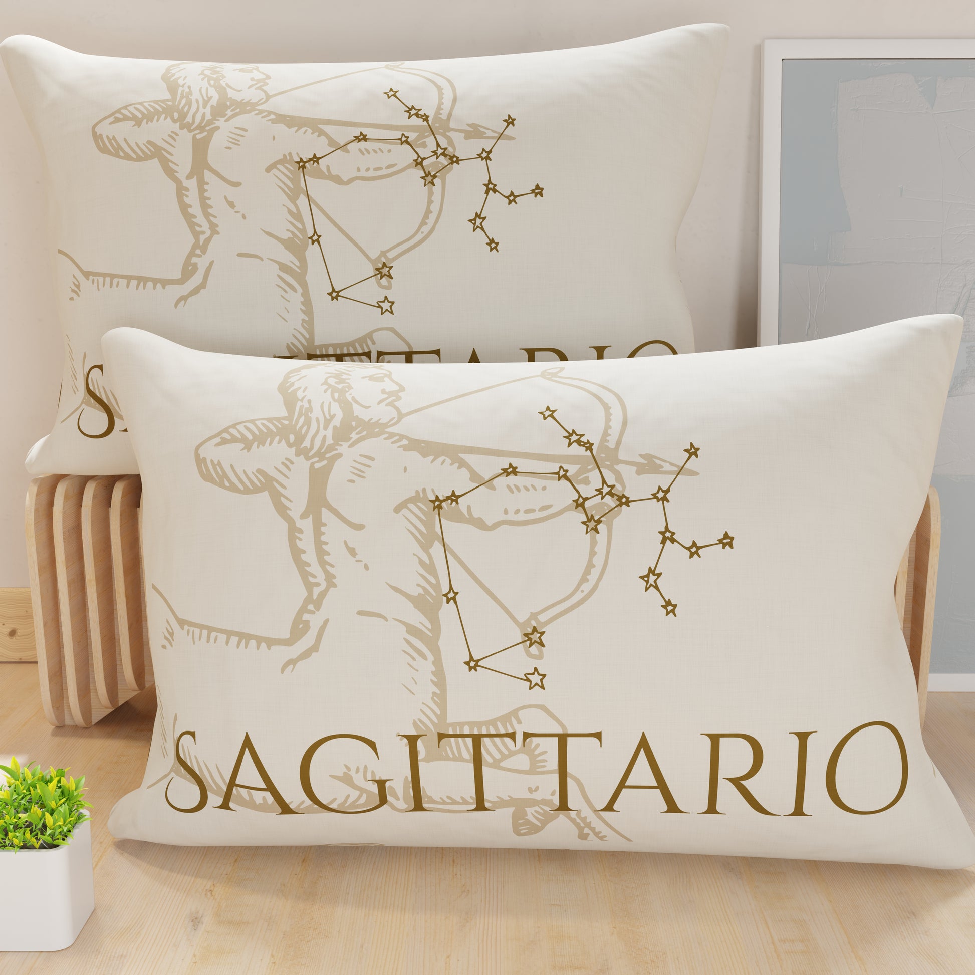 CFDM-Sagittario0001.jpg