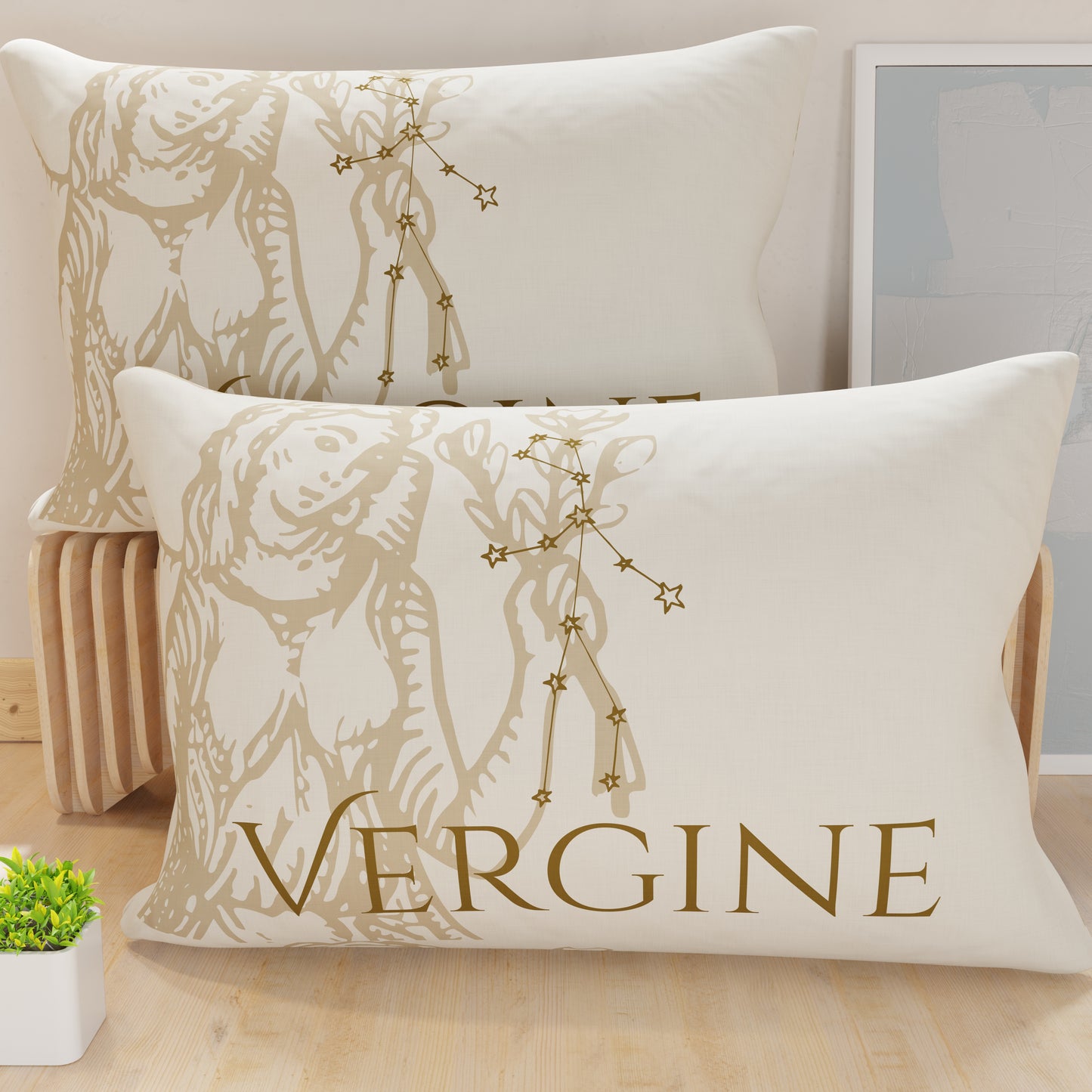 CFDM-VERGINE0001.jpg