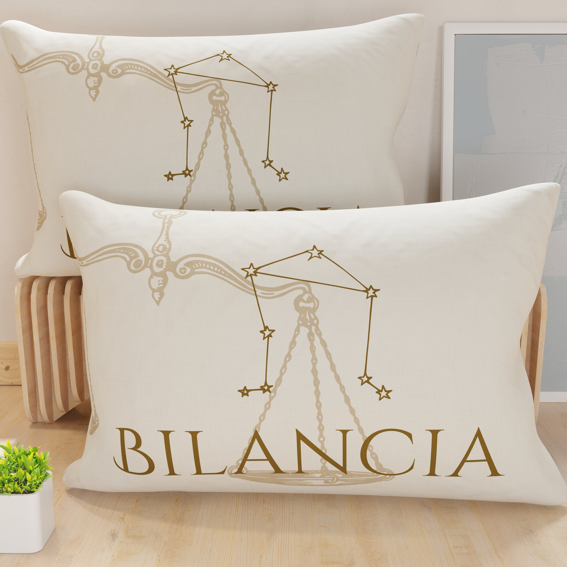 CFDM-bilancia0001.jpg