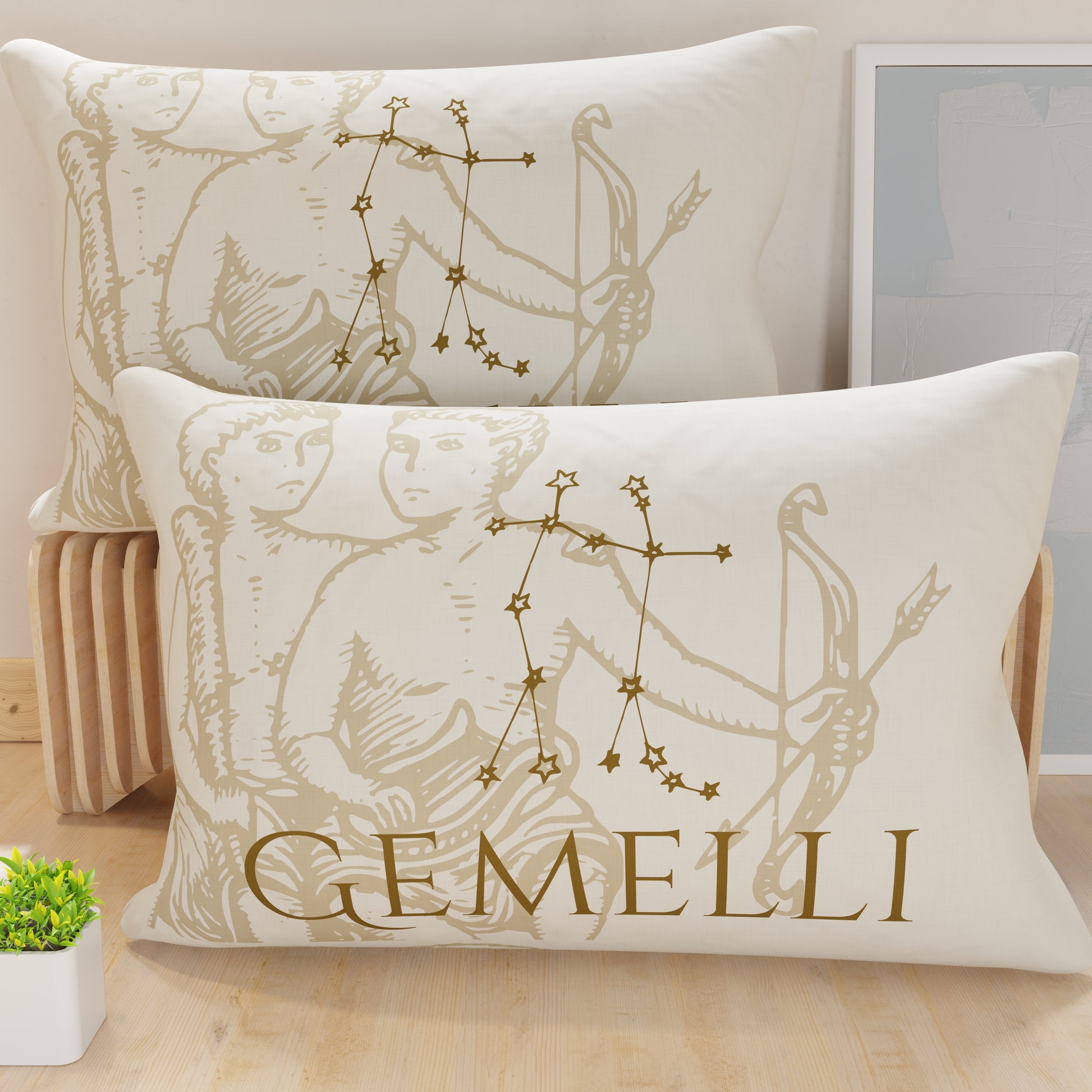 CFDM-gemelli0001.jpg