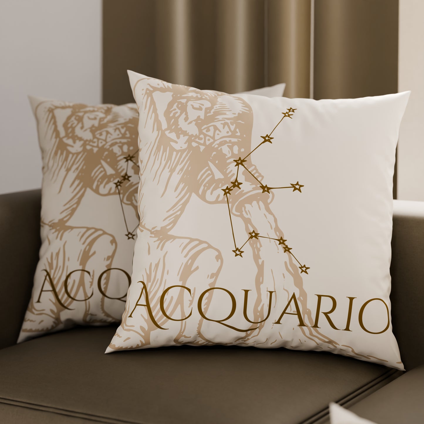 CFDMD-Acquario0006.jpg