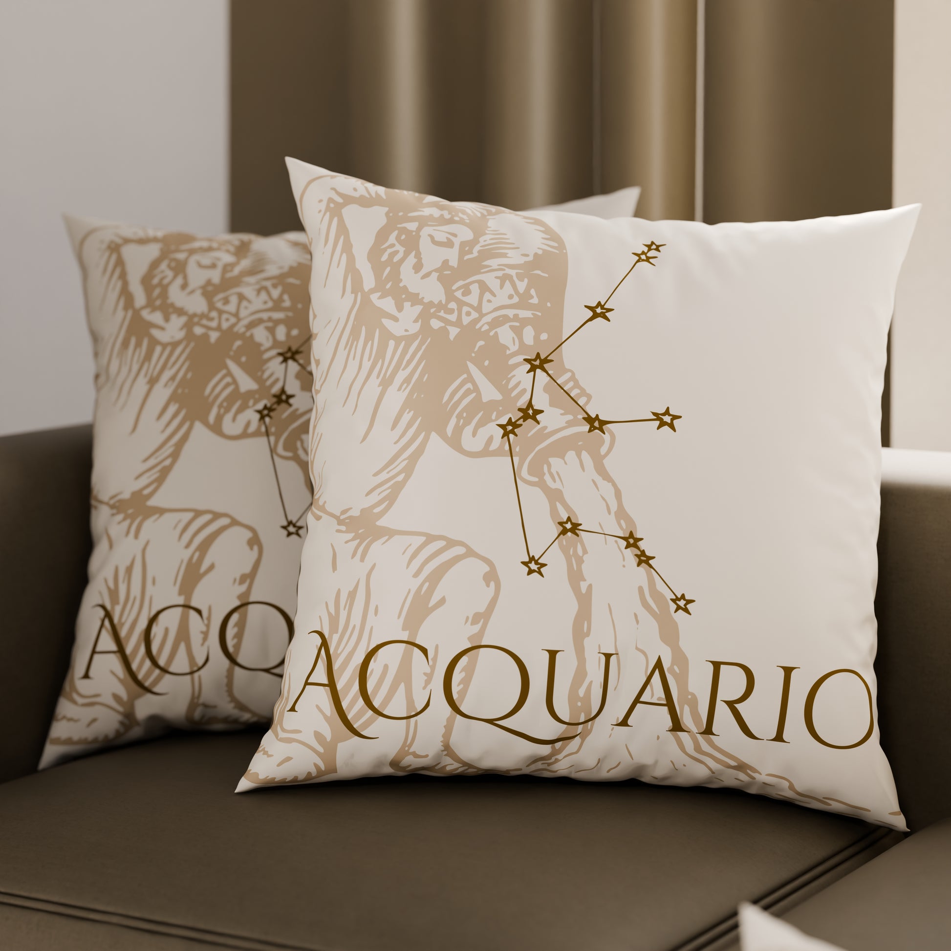 CFDMD-Acquario0006.jpg