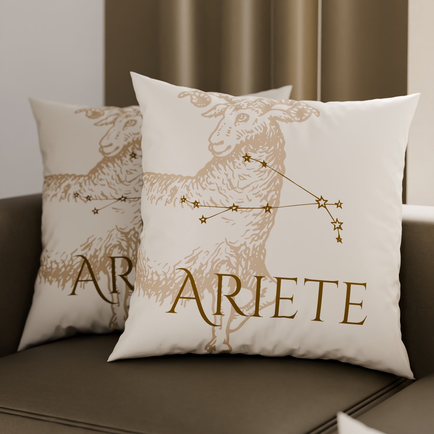 CFDMD-Ariete0006.jpg