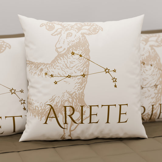 CFDMD-Ariete0007.jpg