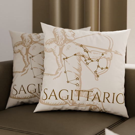 CFDMD-Saggittario0006.jpg