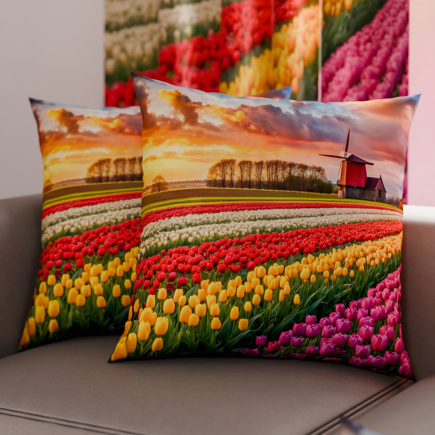 CFDMD-TINTAUNITA-OLANDA010006.jpg