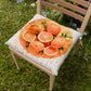 Cuscini per Sedie Coprisedia 6 Pezzi Fruit - Arancia