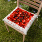 Cuscini per Sedie Coprisedia 6 Pezzi Fruit - Ciliegia