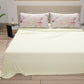 TULIPANI-100009.jpg