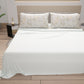 TULIPANI-110005.jpg