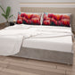 TULIPANI-250010.jpg