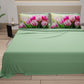 tulipani0009.jpg